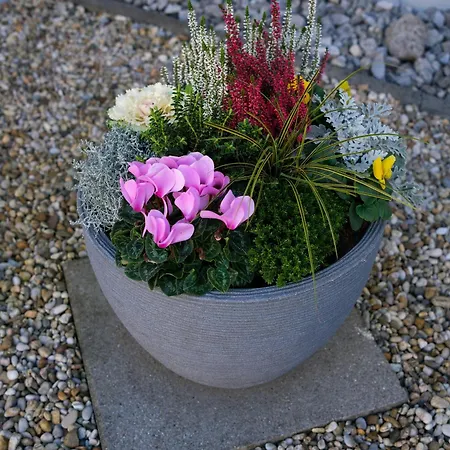 דירה Haus Gallys ואנדאנס